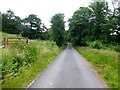 Road heading to Craig Farm in PA33 1BA