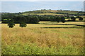 Farmland looking towards Conduit Hill in MK18 2NF