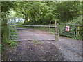 Permissive Bridleway in Chewton Wood in BS39 5BA