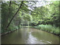 Ashby Canal: Reach near Snarestone in CV9 3QJ
