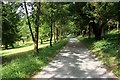 Bridleway in Great Wood in RG9 6RY