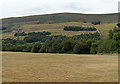 Football pitch at the edge of woodland, Blaina in NP13 3AQ