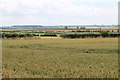 Farmland on the Wolds in Swinhope