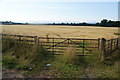 Field of barley on the edge of Crieff in PH7 3RS