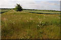 Arable land field headland in Ryhall & Casterton Ward