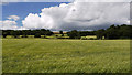 Barley field near Cornsay Colliery in DH7 9BP