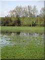 Water logged field in BS32 0DL