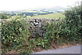 Dry stone wall on road south of Beck House in LA6 2EY