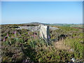 Heath Mynd trig point with Stiperstones ridge in the background in SY15 6AX