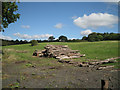 Log pile, bottom of old Gorcott Hill in B80 7DJ