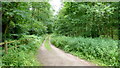 Track into Brockhill Wood in B97 6UF