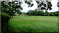 Pasture at Lea End Farm in B48 7AY