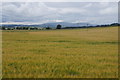 Fields at Suttieside, Forfar in DD8 3NL