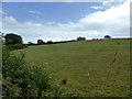Looking towards Iveston farm in SA71 5EY