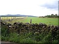 Stone wall field boundaries in AB31 5NG