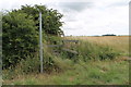 Entrance to an overgrown Footpath in West Torrington