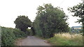Country lane near Standon in SG11 1EF