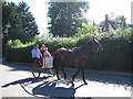 Horse and buggy outside Worlingworth Swan in IP13 7RQ