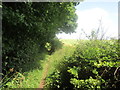 Footpath along Dean's Plantation in NG20 8HJ