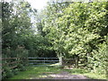 Access point, Adcombe Wood in TA3 7DD