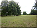 Pitt, parkland in SO22 4LP