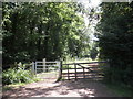 Public footpath, through Oakey Copse in TA3 7BY