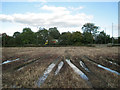 Waterlogged arable field by the A435, Pink Green in B98 9EL