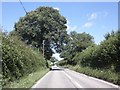 Car on the B3170, passes the turning for Heale in TA3 7BB