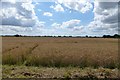 Farmland near Partridge Hill Farm in LS24 9RW