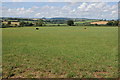 Farmland near Llancloudy in HR2 8QW