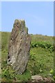Skeroblin Cruach Standing Stone in PA28 6NX