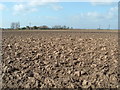 Ploughed now weathering in PE11 4HZ