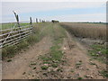 Farm track below High Bullen in St. Giles in the Wood