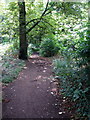 Footpath into the woods by Goldington Green in MK41 9HZ