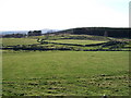 Fields with stone walls in AB31 4QD
