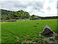 The Walled Garden at Parc in Llanfrothen Community