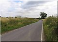 Dunton Road towards Dunton Wayletts in CM13 3SE