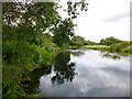 Somerley Park, River Avon in BH24 3PL