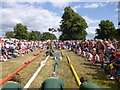 Somerley Park, ferret racing in BH24 3PL
