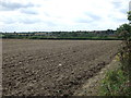 Farmland, Washingborough in LN4 1RP