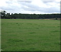 Farmland off Fen Road in Heighington