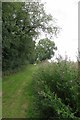 Willowherb and Bridleway in CM6 3QH