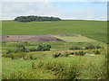 Moorland and farmland around Sills Burn and Dere Street in NE19 1RF