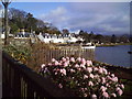 Harbourside Houses, Plockton. in IV52 8TJ