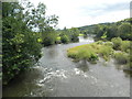 River Towy / Afon Tywi at Llandilo-yr-ynys in SA32 7LJ