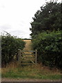 Footpath to Wilstead in Elstow