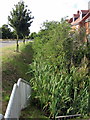 Stream and hedge by the new houses on the old Bedford Road in MK45 3HU