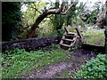 Wooden steps to the Frome Valley Walkway, Yate in BS37 7LQ