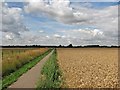 Footpath from Long Meadow to Lode in CB25 9HA