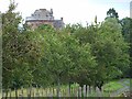 Tree-lined driveway to Inverquharity Castle in DD8 4LW